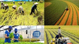 Công nghệ nội địa và bài toán tận dụng phụ phẩm nông nghiệp hiệu quả