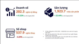 Vì sao hơn 80.000 shop lặng lẽ rời sàn thương mại điện tử?