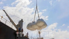 Sản xuất nông nghiệp giảm phát thải: Tiên phong từ hạt gạo Việt