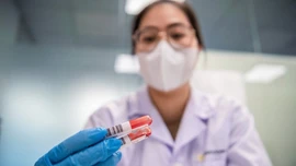 51.000 mẫu ADN 'gieo mầm' hi vọng tìm người thân cho hàng nghìn gia đình