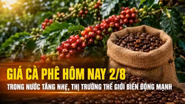Giá cà phê hôm nay 2/8: Trong nước tăng nhẹ, thị trường thế giới tiếp tục biến động mạnh