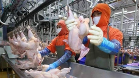 Đảm bảo nguồn cung nông sản dịp Tết 2026