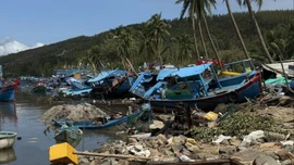 Bão số 13 và hoàn lưu bão làm 179 tàu bị sóng đánh chìm, hư hỏng
