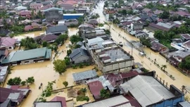 Nạn phá rừng làm gia tăng lũ lụt gây thương vong