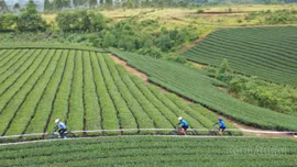 Giải vô địch xe đạp quốc gia 2026: Mô hình điểm phát triển thể thao gắn với du lịch tại Lào Cai