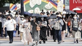 Nguy cơ El Nino tái xuất, dự báo năm 2026 nóng kỷ lục