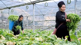 Lào Cai phấn đấu giảm tỷ lệ hộ nghèo từ 1,5% trở lên trong năm 2026