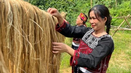 Bảo Hà: Biến thân chuối thành hàng hóa, tăng thu nhập cho nông dân