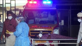 Ấn Độ: Lo ngại nguy cơ bùng phát dịch liên quan đến virus Nipah