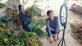 Hợp tác xã điện tử: Bước tiến quan trọng để kinh tế tập thể chuyển đổi số