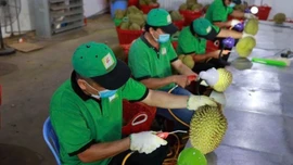 Tăng cường quản lý chất lượng nông sản xuất khẩu