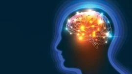 Đột phá từ Nhật Bản: Thuốc 'đảo ngược' đột quỵ