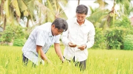 Chuyển đổi số trong hoạt động khuyến nông