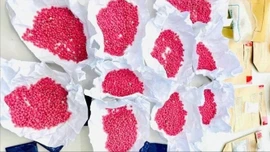 Triệt phá đường dây mua bán ma túy liên tỉnh, thu giữ 9,2kg ma túy tổng hợp