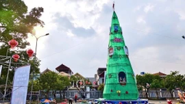 Bộ trưởng Dân tộc và Tôn giáo gửi Thư chúc mừng nhân dịp lễ Giáng sinh năm 2025