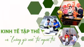Kinh tế tập thể và “luồng gió mới” từ người trẻ