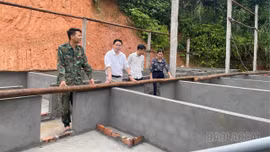 Hiện thực hoá Quyết định 13: Khơi dòng vốn hỗ trợ nông dân