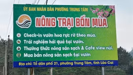 Trải nghiệm "nông trại bốn mùa": Nông sản trở thành sản phẩm du lịch hút khách