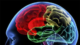 Phát triển công nghệ biến suy nghĩ thành lời nói