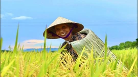 Áo tơi Yên Lạc: Giữ hồn làng trong từng mũi chằm