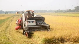 Kinh tế tuần hoàn nông nghiệp cần một chiến lược riêng