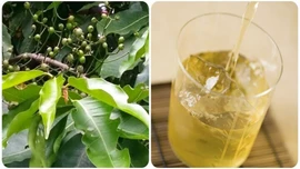 Uống nước vối thường xuyên có tốt?