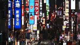 Nhân Ngày Độc thân (11/11): Gợi ý những điểm đến phù hợp để du lịch một mình