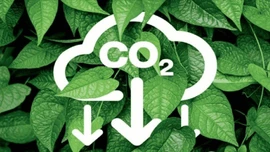 Quy định về sàn giao dịch các-bon trong nước