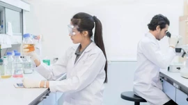 Các nhà khoa học Nga thử nghiệm biến tảo biển thành pin