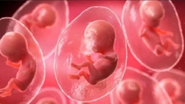 Em bé đầu tiên trên thế giới được thụ thai nhờ… AI