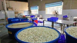 Phát hiện gần 7 tấn chân gà ngâm chất tẩy trắng