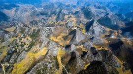 Cao nguyên đá Đồng Văn được vinh danh "Điểm đến văn hóa hàng đầu thế giới 2025"