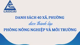 Danh sách 40 xã, phường được thành lập Phòng Nông nghiệp và Môi trường