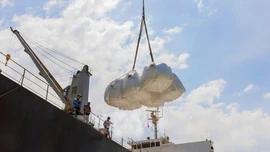 Giá gạo xuất khẩu Việt Nam cao nhất trong ba tháng