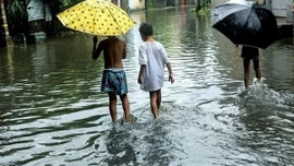 Philippines cảnh báo bệnh xoắn khuẩn vàng da sau lũ lụt