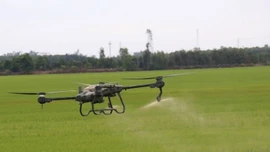 Ban hành quy định mới về điều kiện sản xuất, buôn bán thuốc bảo vệ thực vật