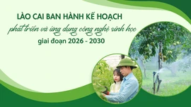 Lào Cai ban hành kế hoạch phát triển và ứng dụng công nghệ sinh học giai đoạn 2026 - 2030