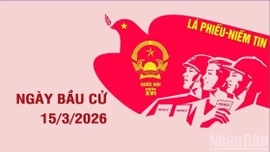 Thông tin cần biết về Ngày Bầu cử