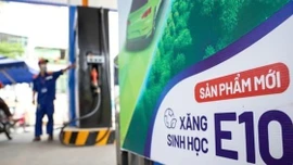 Chủ động nguồn nguyên liệu để triển khai xăng sinh học E10