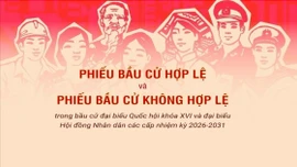 Phiếu hợp lệ và không hợp lệ trong bầu cử đại biểu Quốc hội và Hội đồng nhân dân các cấp