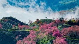 Sa Pa tăng trưởng nhanh nhất trong top 100 điểm đến hàng đầu châu Á