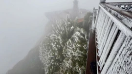 Nhiệt độ xuống - 3 độ C, đỉnh Fansipan xuất hiện băng tuyết