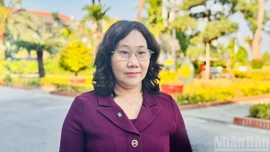 Tổng điều tra kinh tế 2026 cung ứng dữ liệu tổng hợp cho chính quyền hai cấp