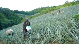 Xã biên giới Mường Khương đẩy mạnh phát triển kinh tế, giữ vững an ninh quốc phòng