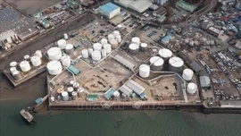 IEA sẽ tham vấn các chính phủ châu Á và châu Âu về việc xả thêm dầu dự trữ