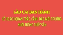 Lào Cai ban hành Kế hoạch quan trắc, cảnh báo môi trường nuôi trồng thủy sản năm 2026 và giai đoạn 2026 - 2030
