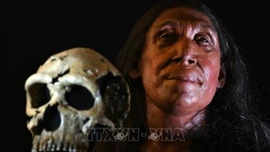 Khảo cổ học hé lộ đa dạng kỹ năng sinh tồn của người Neanderthal