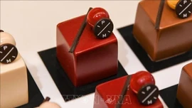 Các nhà sản xuất chocolate châu Âu vẫn lao đao sau cơn sốt giá ca cao