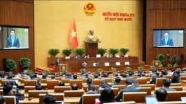 Người livestream bán hàng không được cung cấp thông tin gian dối hoặc gây nhầm lẫn