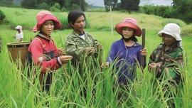 Phía sau những con số giảm nghèo